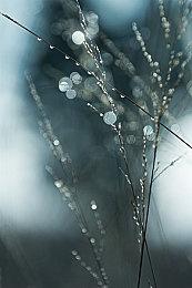 《最好的月份》讲述单亲妈妈和儿子最后的旅程